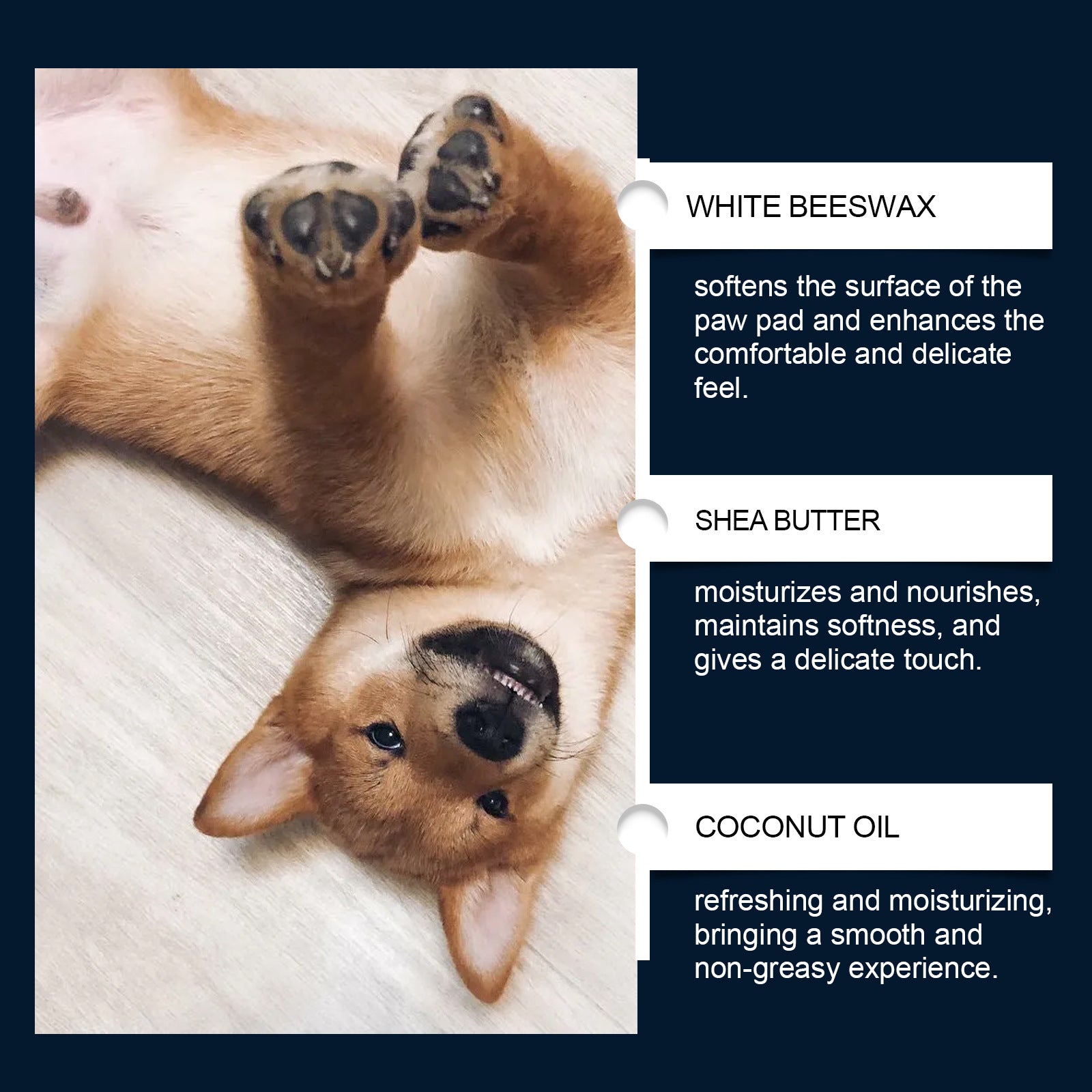 Paw Balm Naturale – Balsamo per Zampe Morbide, Protette e Sane