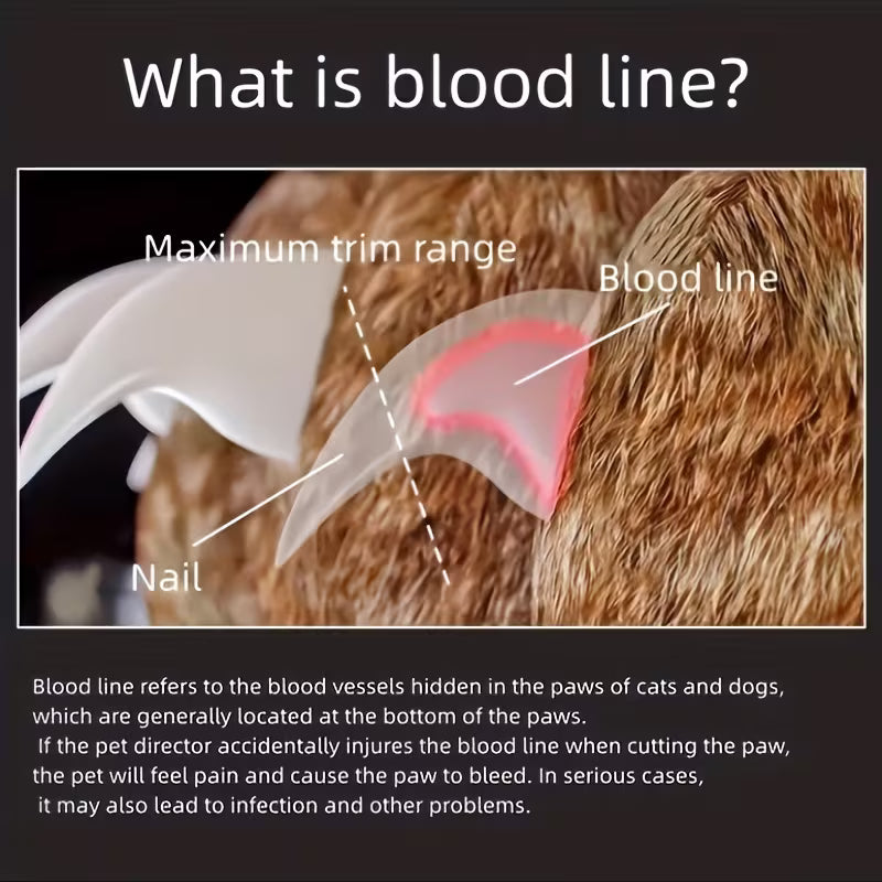 Tagliaunghie Professionale con Luce LED per Cani e Gatti