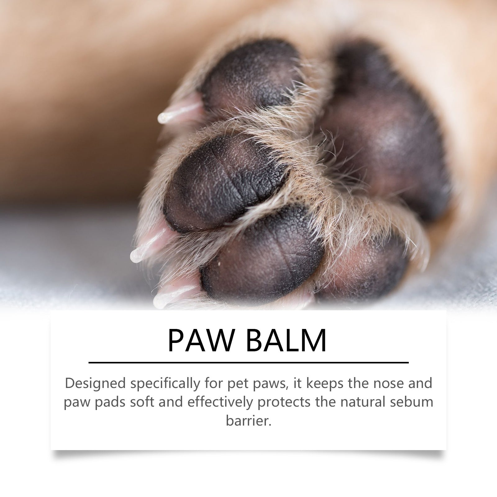 Paw Balm Naturale – Balsamo per  Zampe Morbide, Protette e Sane